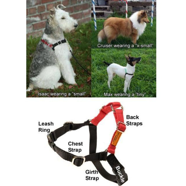 dog body harness