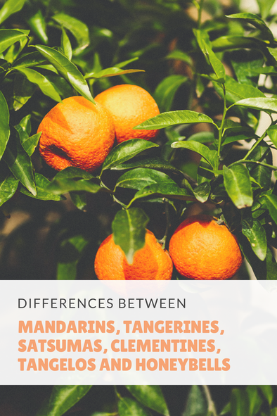 clementine vs tangerine difference