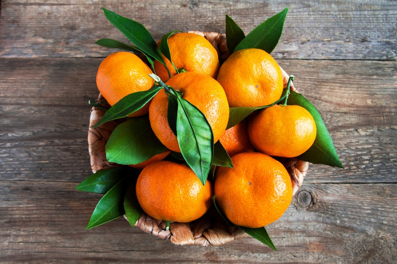 tangerine fruit vs clementine