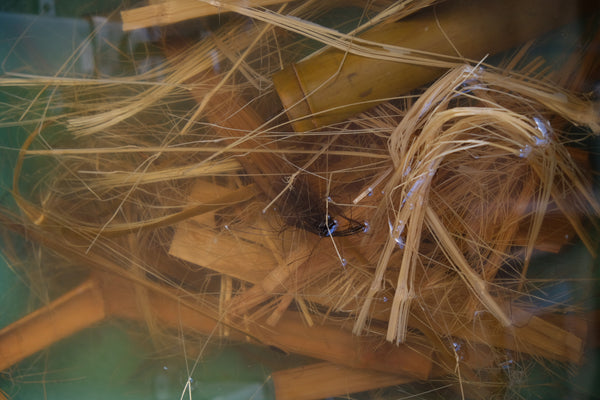 bambou slacks soaking in water and dissolving into long fibers