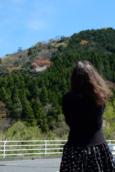 tottori inshu washi aoya japan