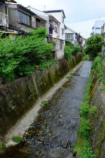 Kamiya-in river in Kyoto (shallow water ways surrounded by concret walls and houses built atop)