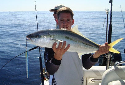 Triple hookup Kingfish on the white 250 gram jig