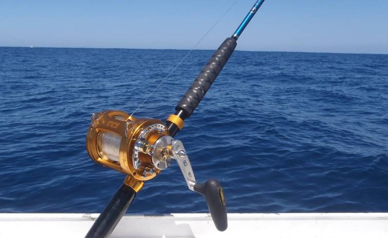 Infinite Seabass Fishing Rod - Downriggershop