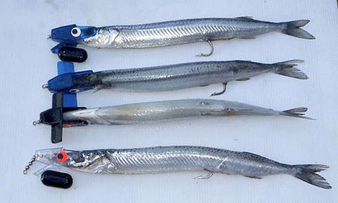 Four Garfish rigged with Head Start Trolling Rigs