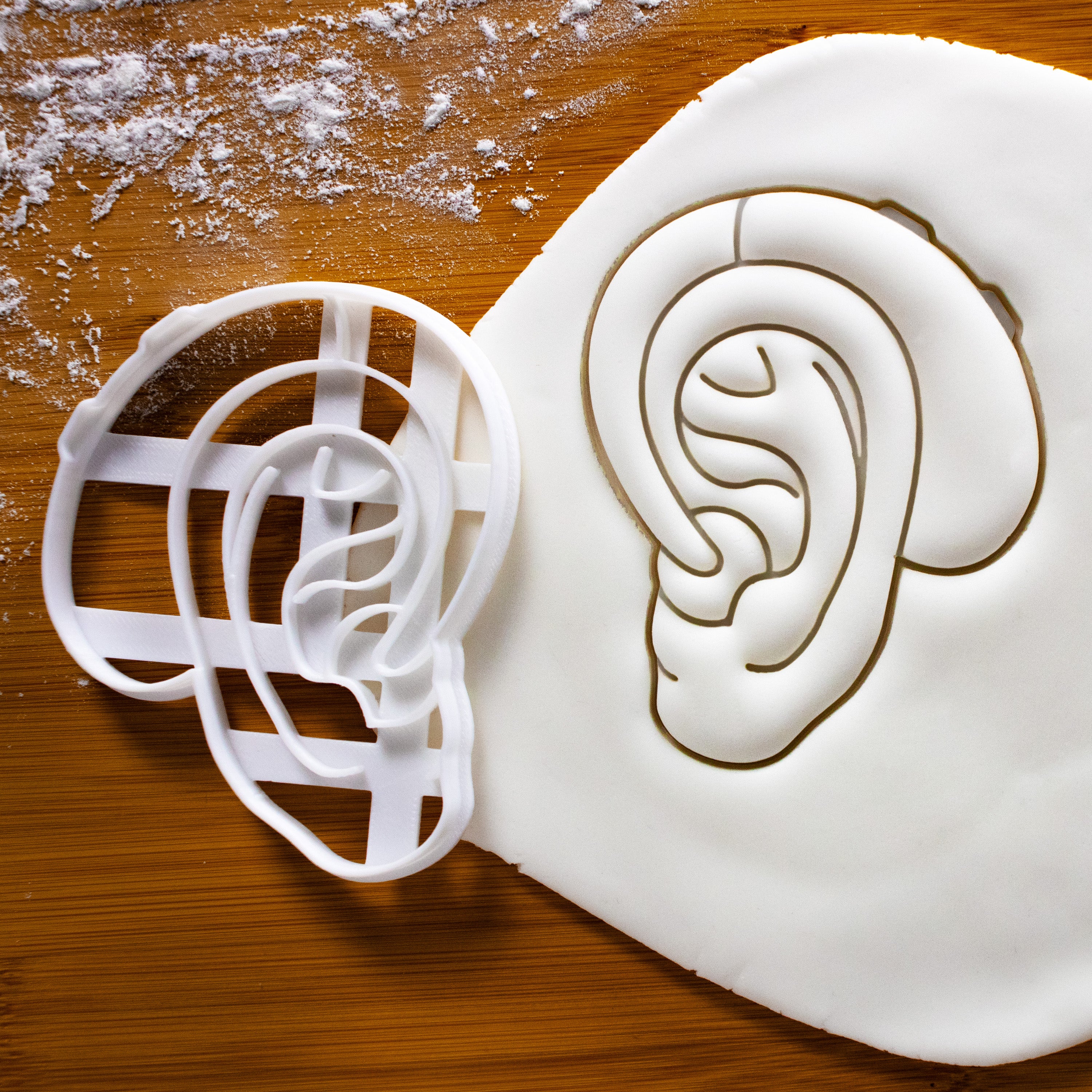 Anatomical Inner Ear Cookie Cutter – Bakerlogy