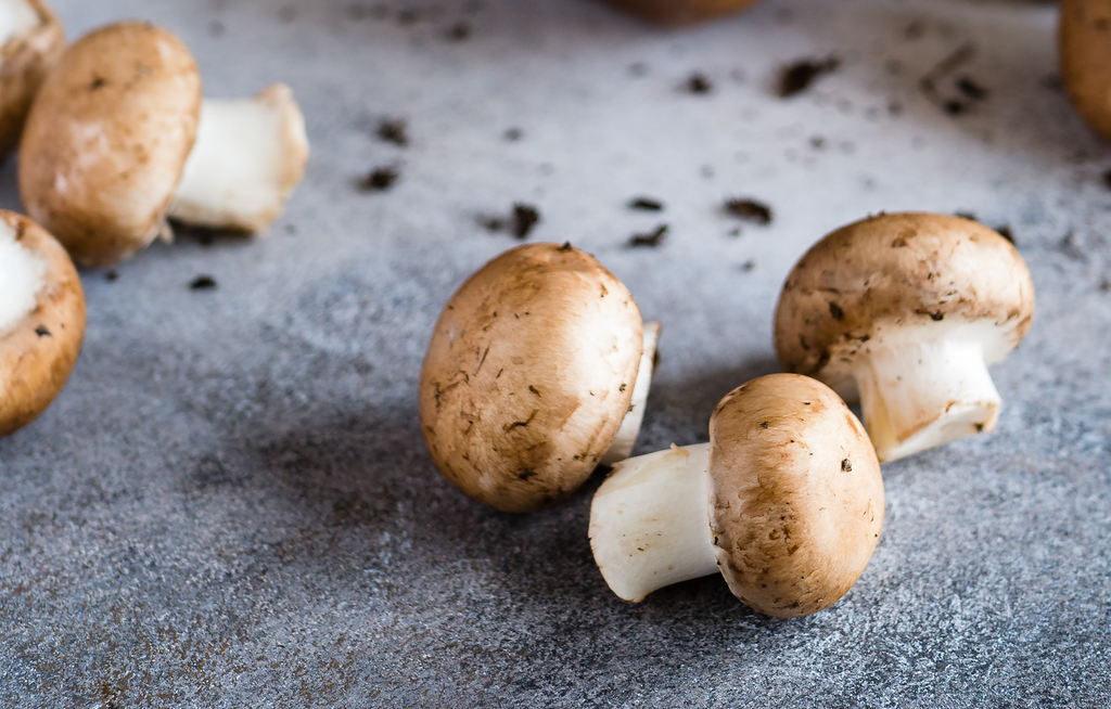 All About Mushrooms and Why YOU Should Be Eating Them!