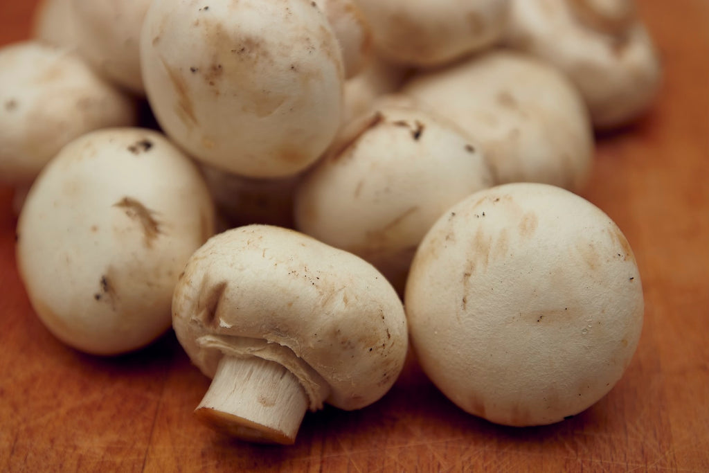 All About Mushrooms and Why YOU Should Be Eating Them!