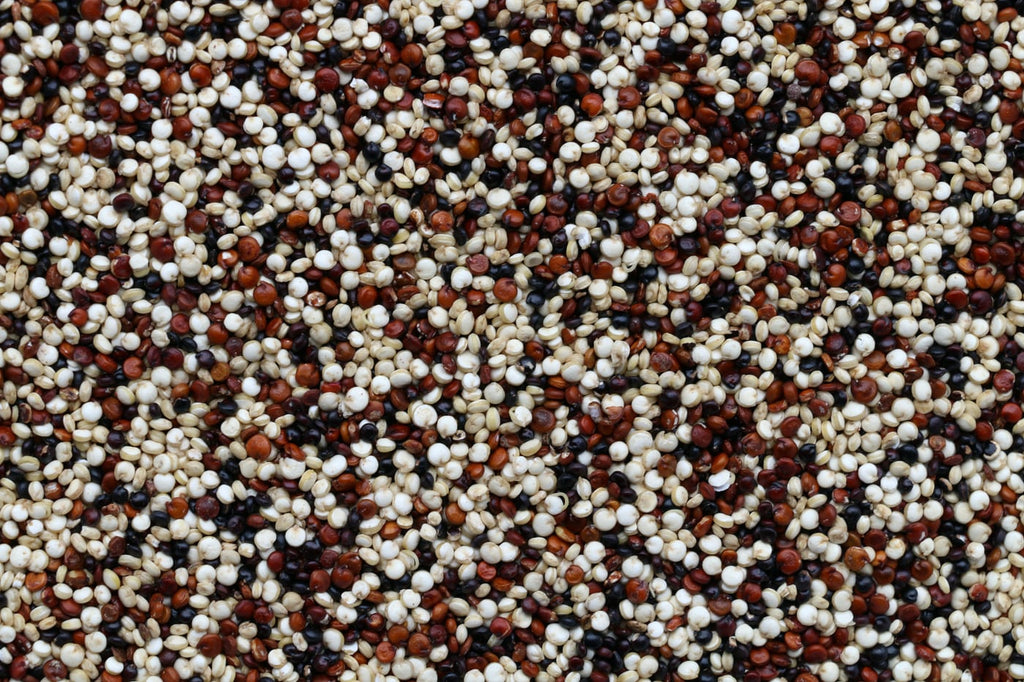 quinoa tri-color