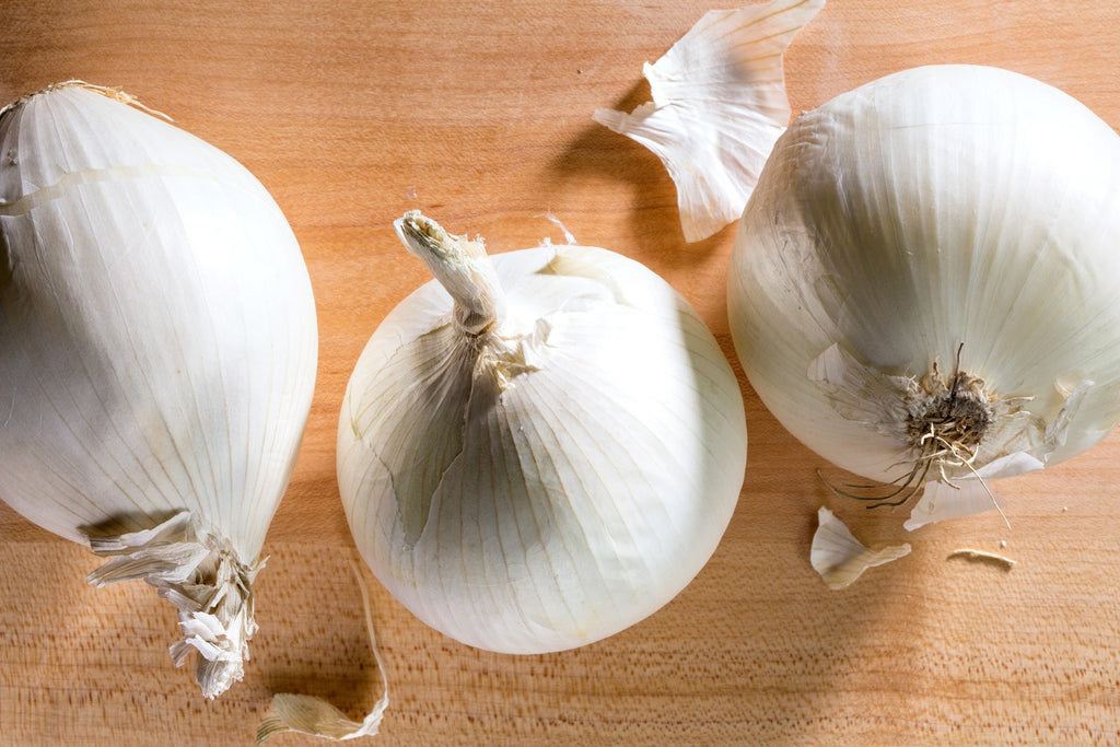 An Easy Guide to Onions! white onions