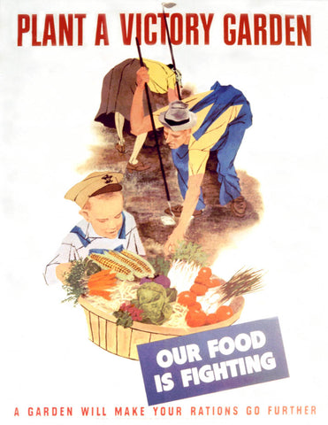 Catering companies relied on food from victory gardens to prepare food to send to the soldiers. 