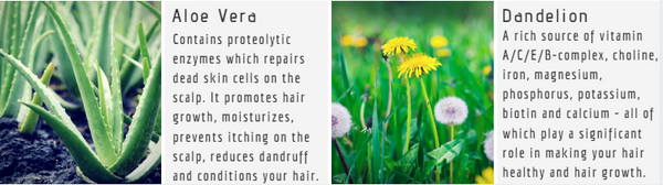 aura_beauty_unique_beauty_deep_cleansing_shampoo_ingredient_2