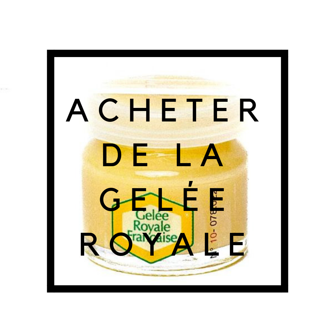 Gelée Royale Française Bio