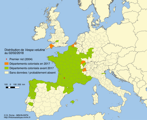 Distribution du frelon asiatique en Europe (Source : INPI)