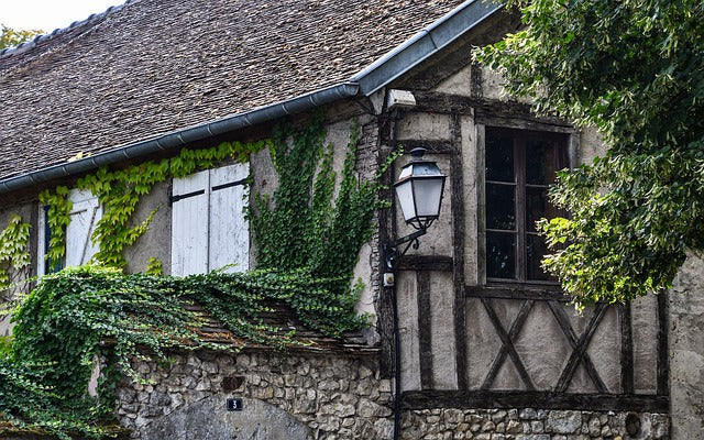 maison envahie par le lierre