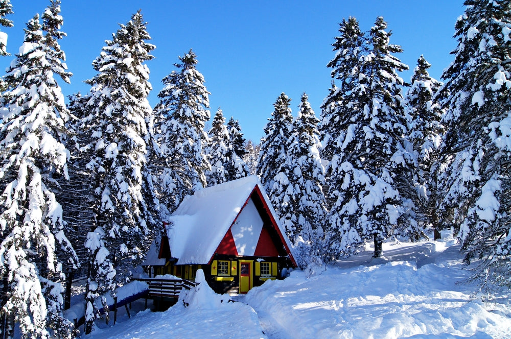 Best Winter Vacation Spots