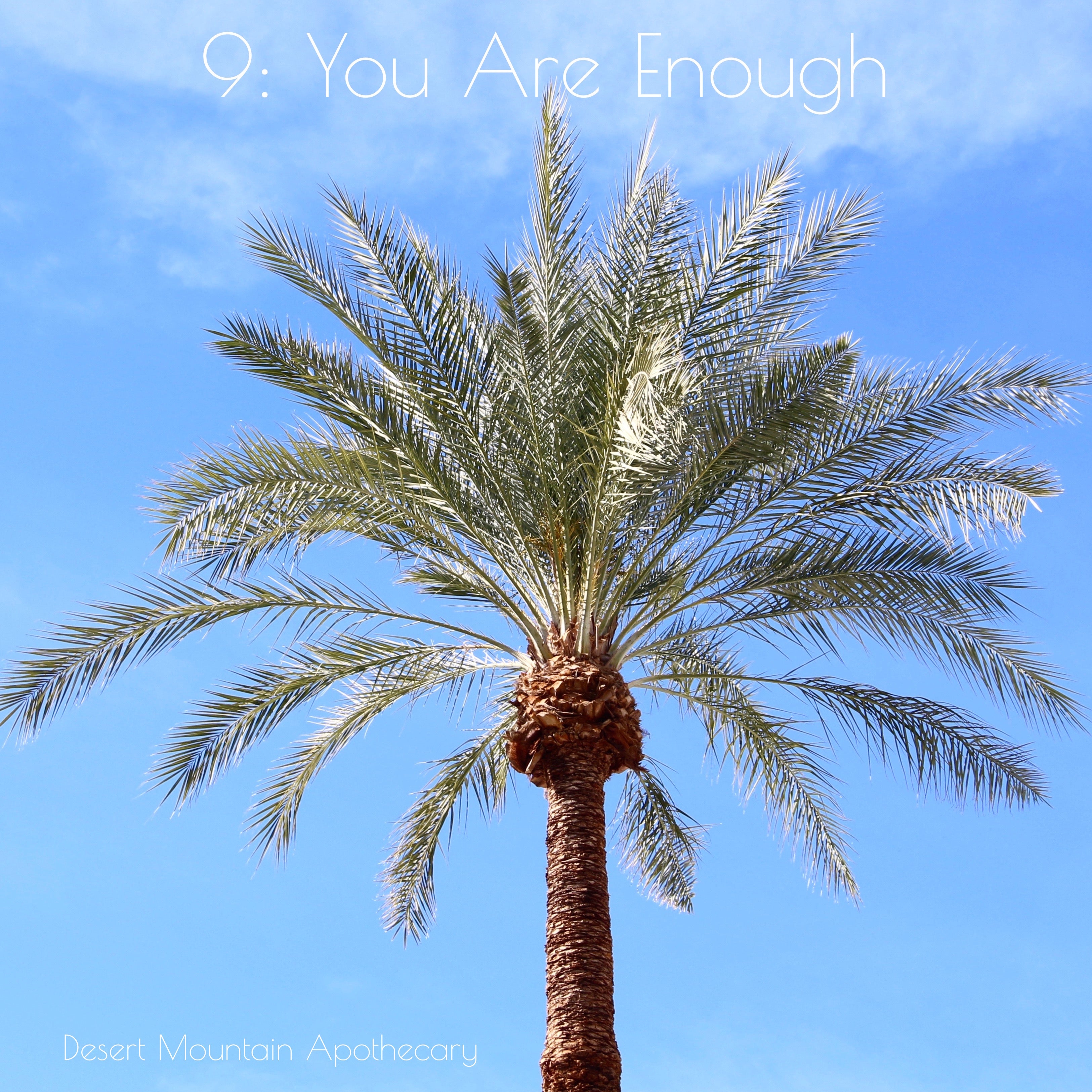 You Are Enough - I Am Enough - Change Your Life By Loving Yourself - Desert Mountain Apothecary - Vision 2020 