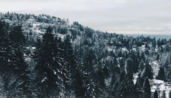 Canada Treeline