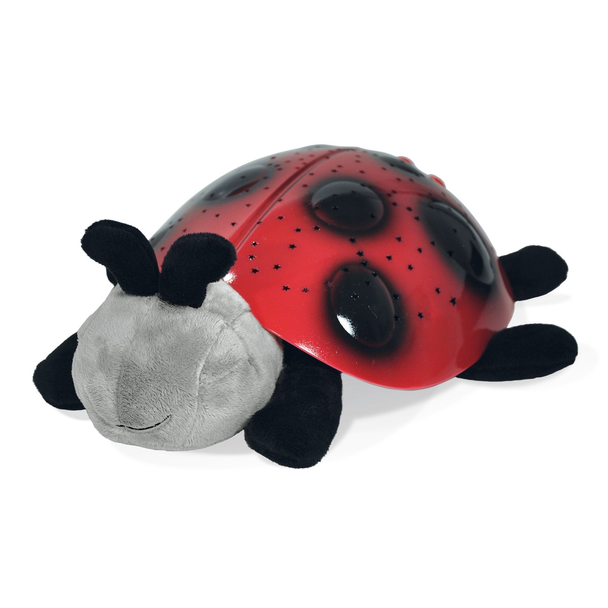 ladybird pushchair toy