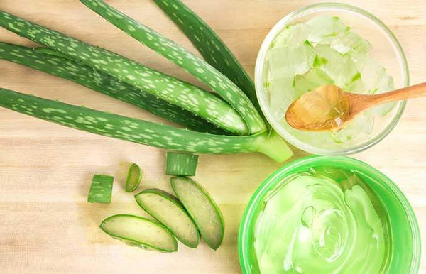 BENEFITS OF ALOE VERA GEL FOR ROSACEA