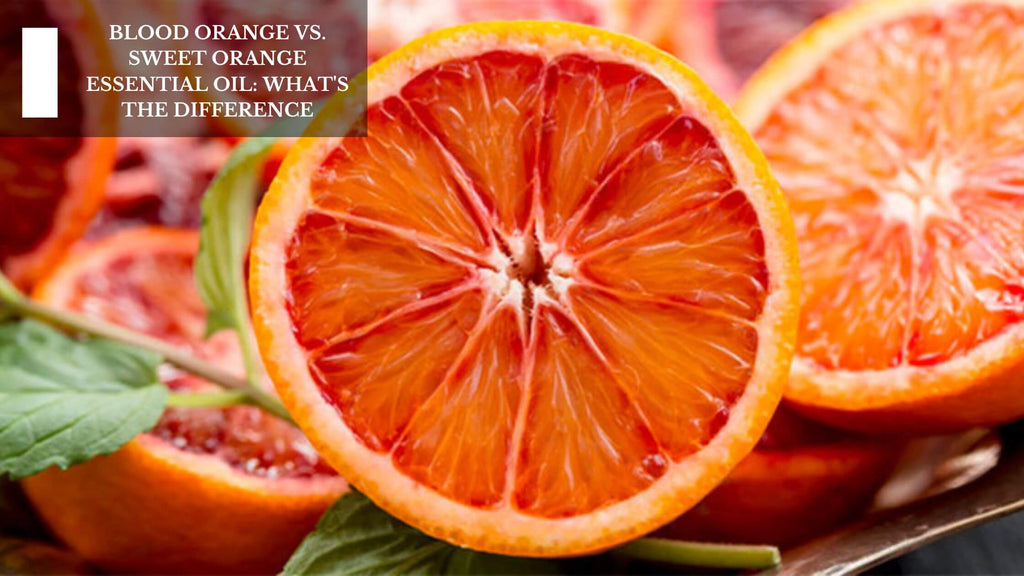 BLOOD ORANGE VS. SWEET ORANGE ESSENTIAL OIL: WHAT'S THE DIFFERENCE