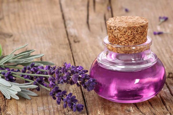 lavender oil