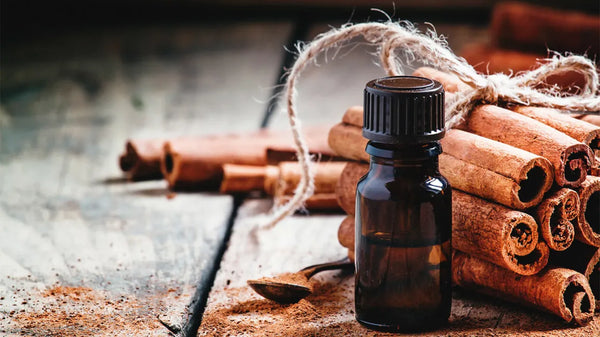 cinnamon essential oil