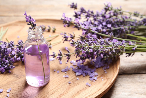 lavender oil for corns