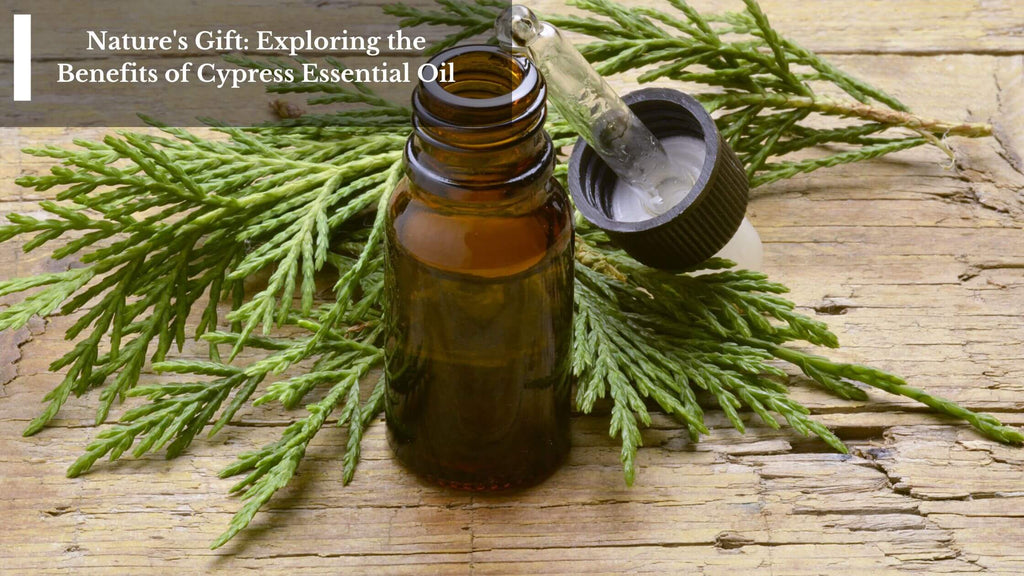 Nature's Gift: Exploring the Benefits of Cypress Essential Oil