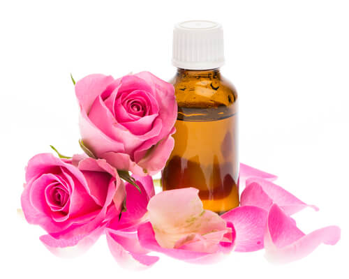 Rose Fragrance oil