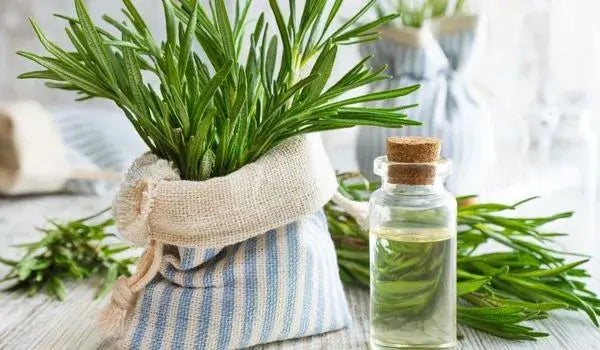 HOW TO USE ROSEMARY ESSENTIAL OIL FOR LOCS?
