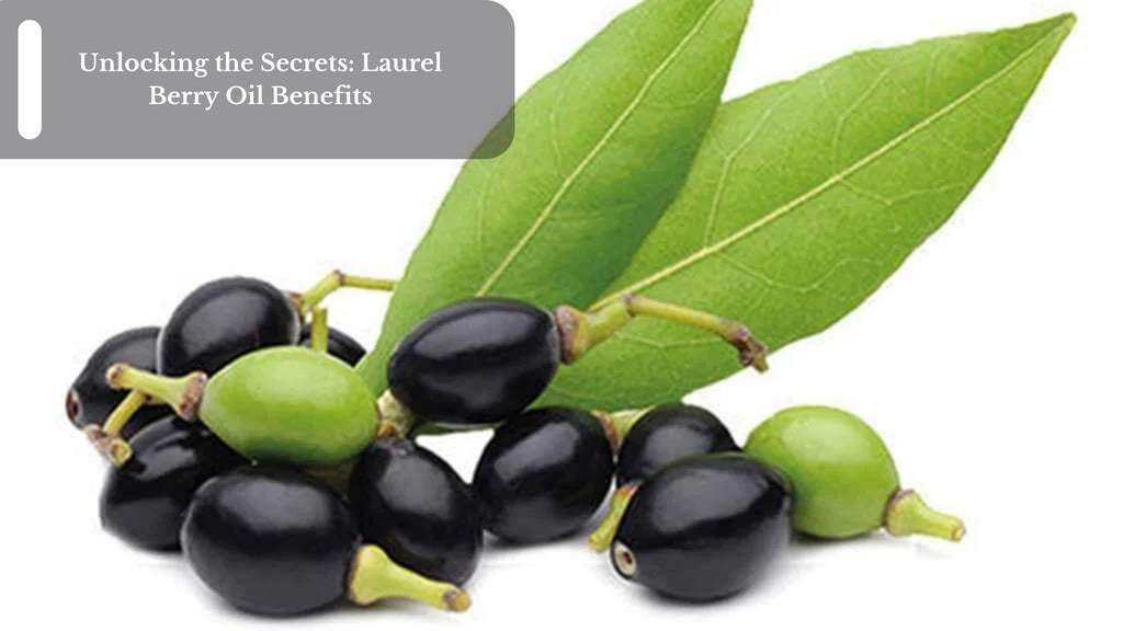 Unlocking the Secrets: Laurel Berry Oil Benefits