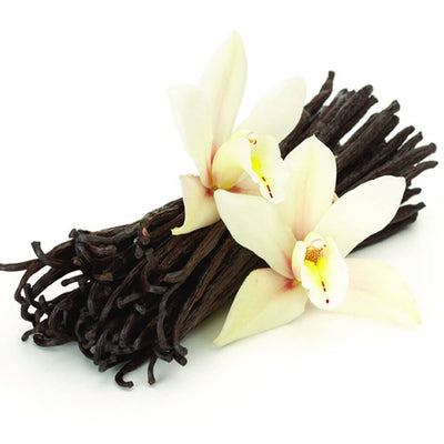 Mexican Vanilla Fragrance Oil  AAA Candle Supplies – Waxy Flower