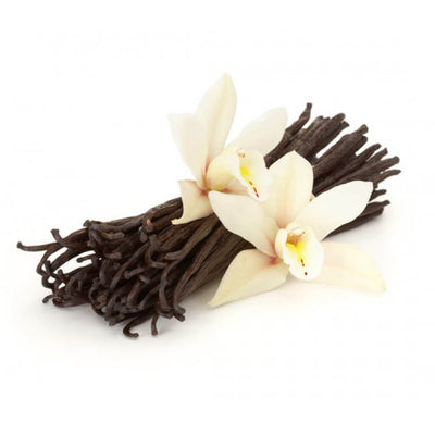 Tobacco Vanilla Fragrance Oil for Soaps, Candles, Diffuser, Aromatherapy  and Cosmetics at Best Price Online in USA – Moksha Essentials Inc.