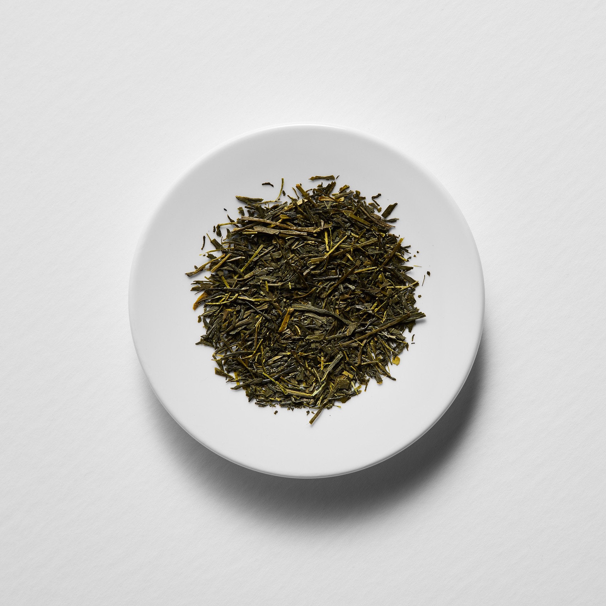 spring-sencha