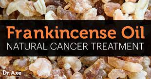 Frankincense v Frankincense Essential Oil – Which Wins in the Battle Against Cancer