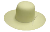 Hat Color - Bone