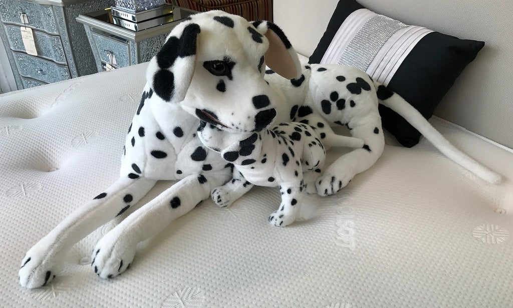 dalmatian soft toy