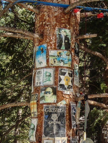 Shrine Tree