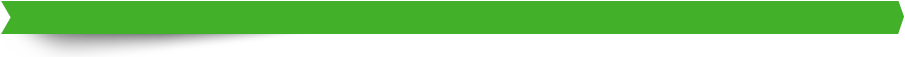 green ribbon divider