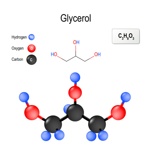 structure of glycerol molecule