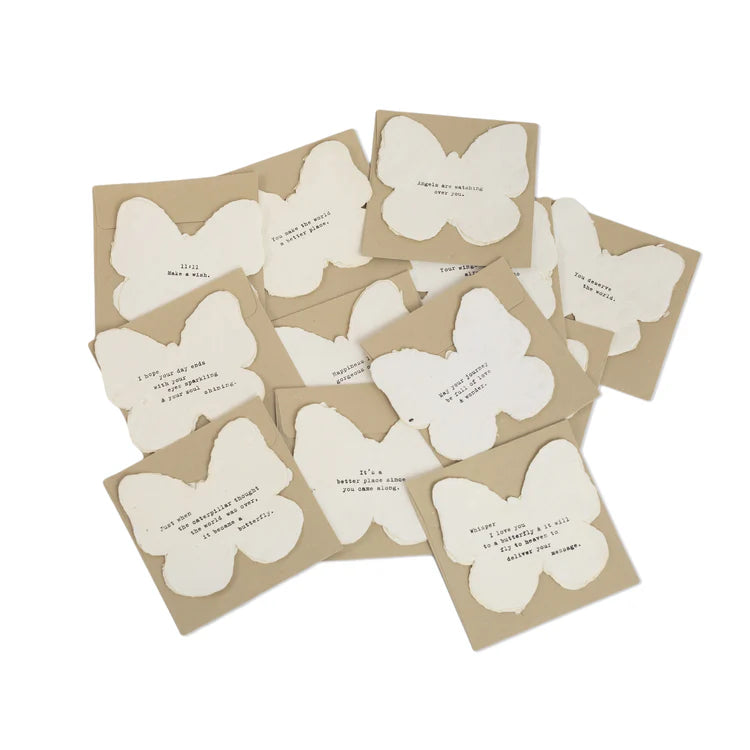 PP479 set