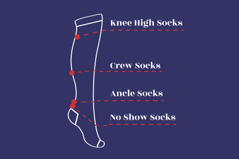 A diagram showing different sock types on a single outline of a leg, labeled at various heights for knee-high, crew, ankle, and no-show socks.