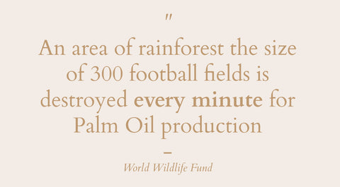 Wabi-Sabi Botanicals Palm Oil Free Reasons To Avoid Palm Oil