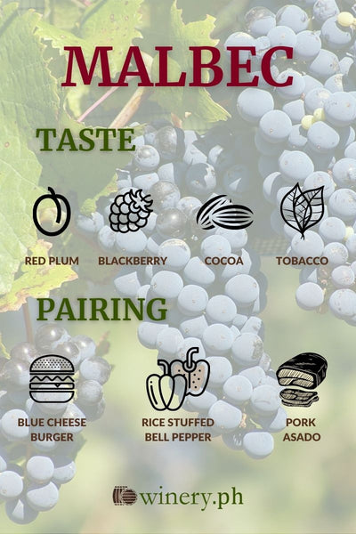 malbec-wine-tasting-and-pairing