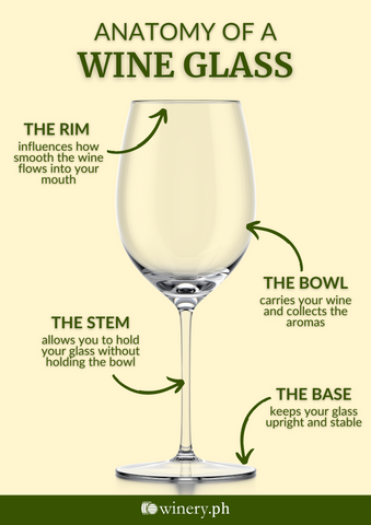 parts of the wine glass