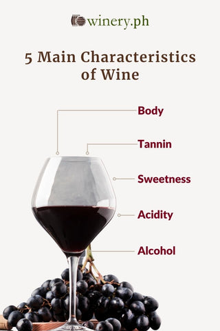 5 main characteristics of wine