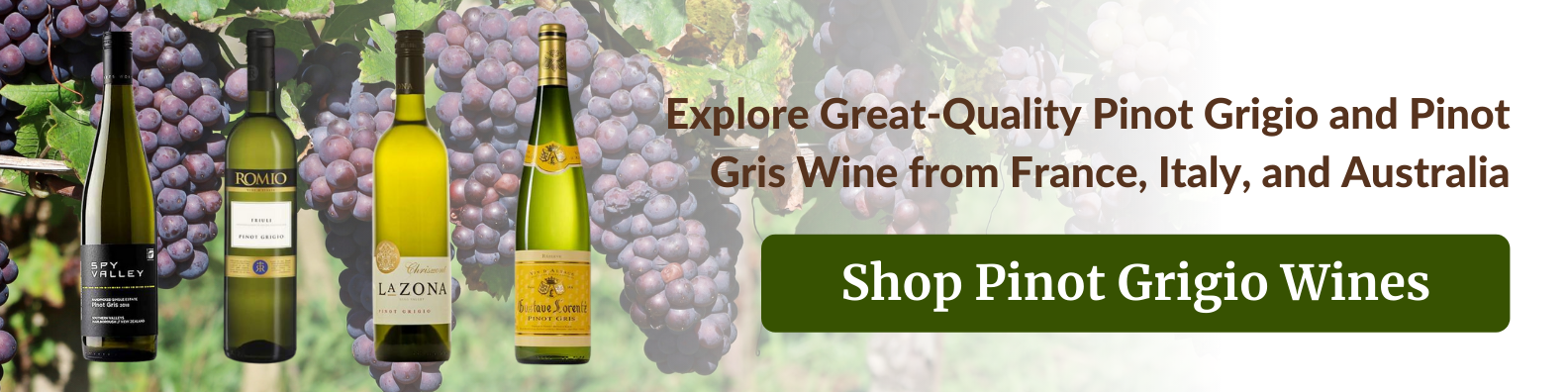 shop pinot grigio and pinot gris wines in the philippines at best prices
