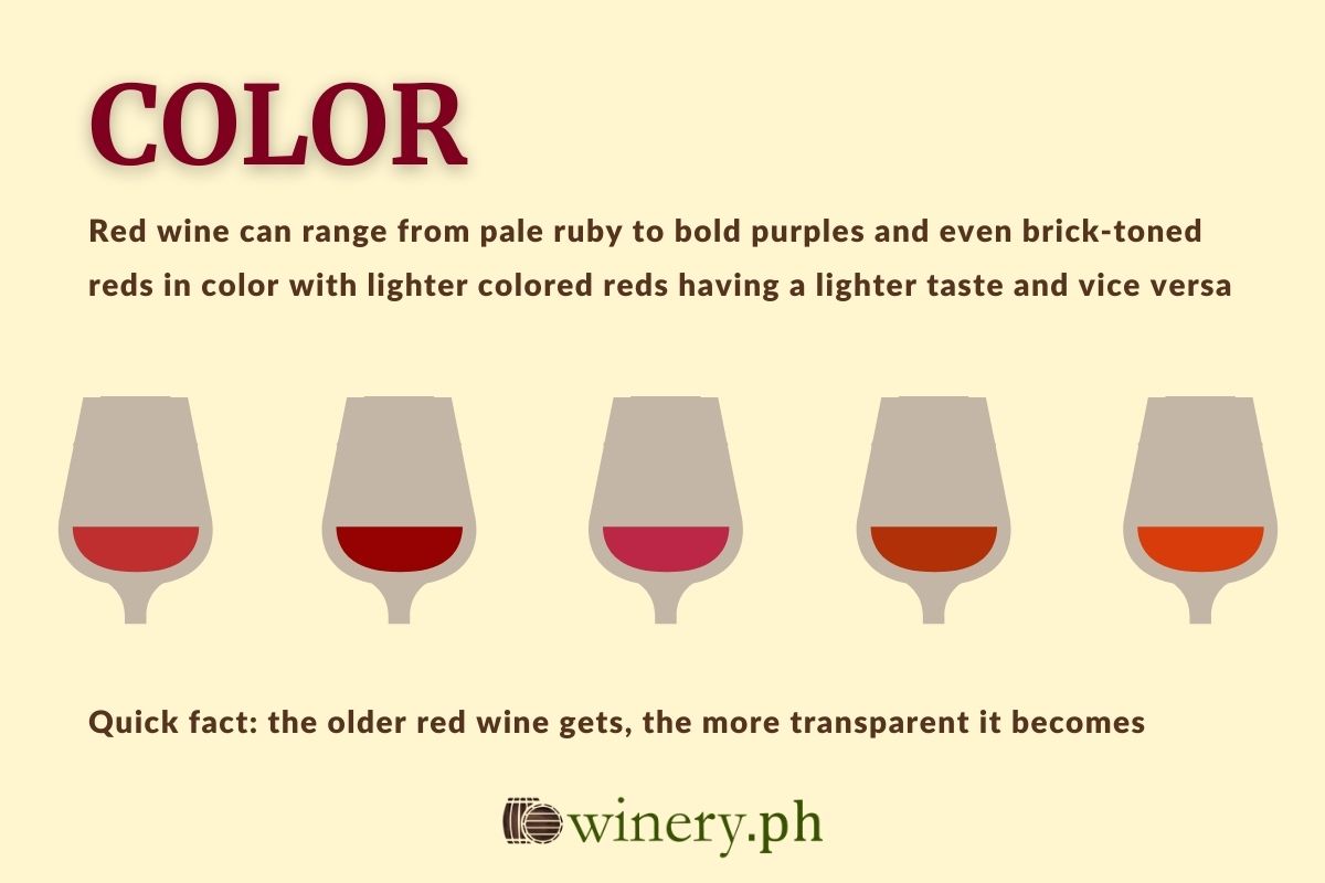 red wine color infographic