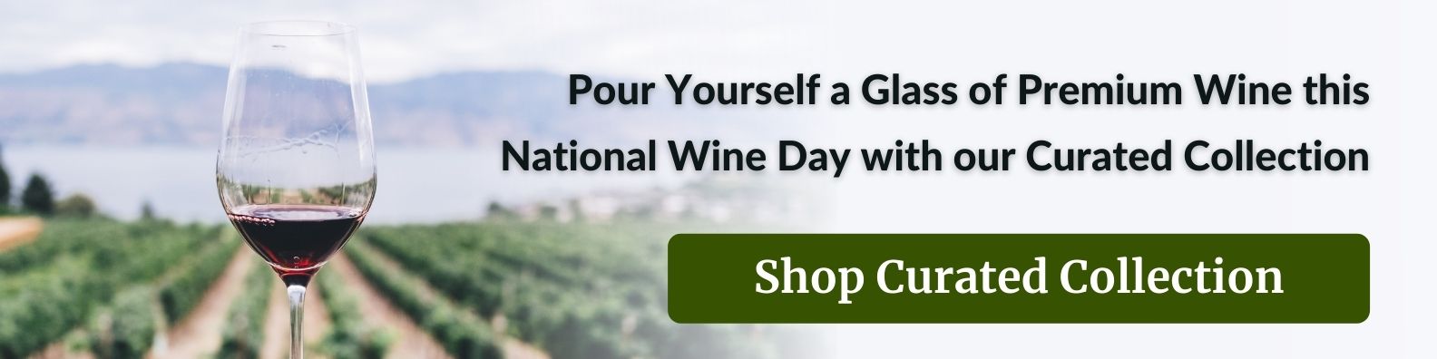 shop premium wine and champagne at best prices online in the philippines